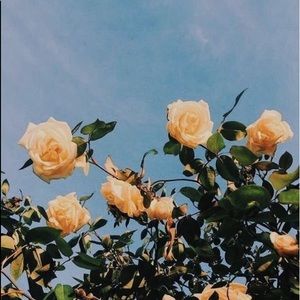 Meet your Posher, Mady